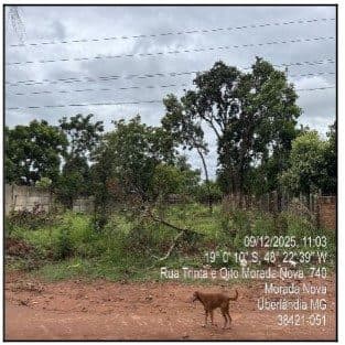 RUA INA MARIA PINTO (ANTIGA RUA 38), N. 00, QD 50, LT 22, UBERLANDIA