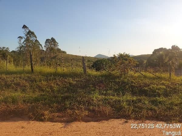 RUA 504, N. SN, LT 08, QD 79, TANGUA