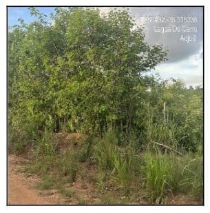 VIA PRINCIPAL, N. S/N, LT 65, LAGOA DO CARRO