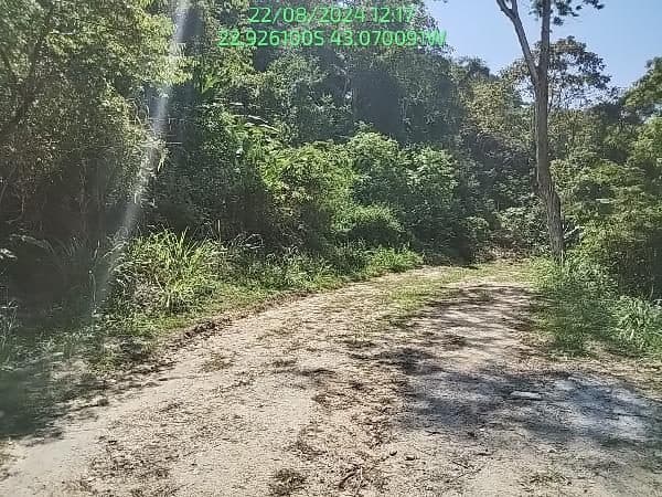 RUA JORNALISTA CARLOS SILVA, N. SN, QD 435, LT 20, NITEROI