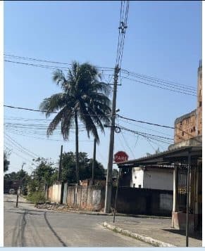 Foto 3 do imóvel