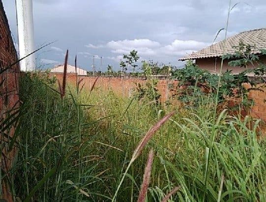 Foto 3 do imóvel