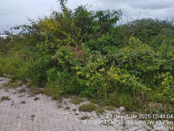 RUA PROJETADA 16, N. 31, QD J LT 31, CARUARU