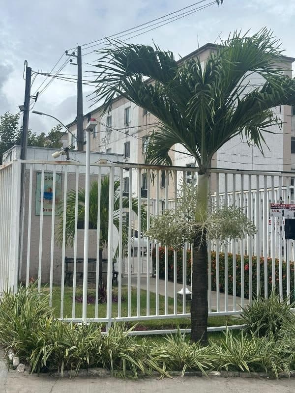 RUA DA PAZ, N. 244, Apto 101, BL 24, JABOATAO DOS GUARARAPES