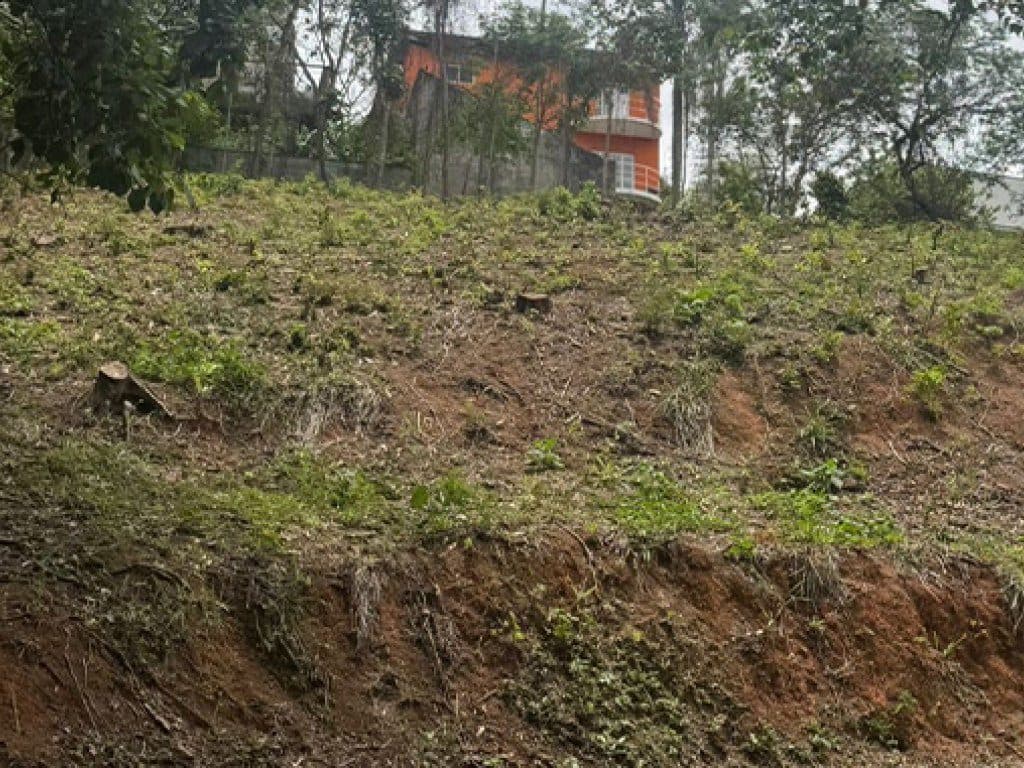 Foto 4 do imóvel