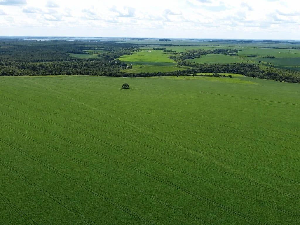 Foto 4 do imóvel
