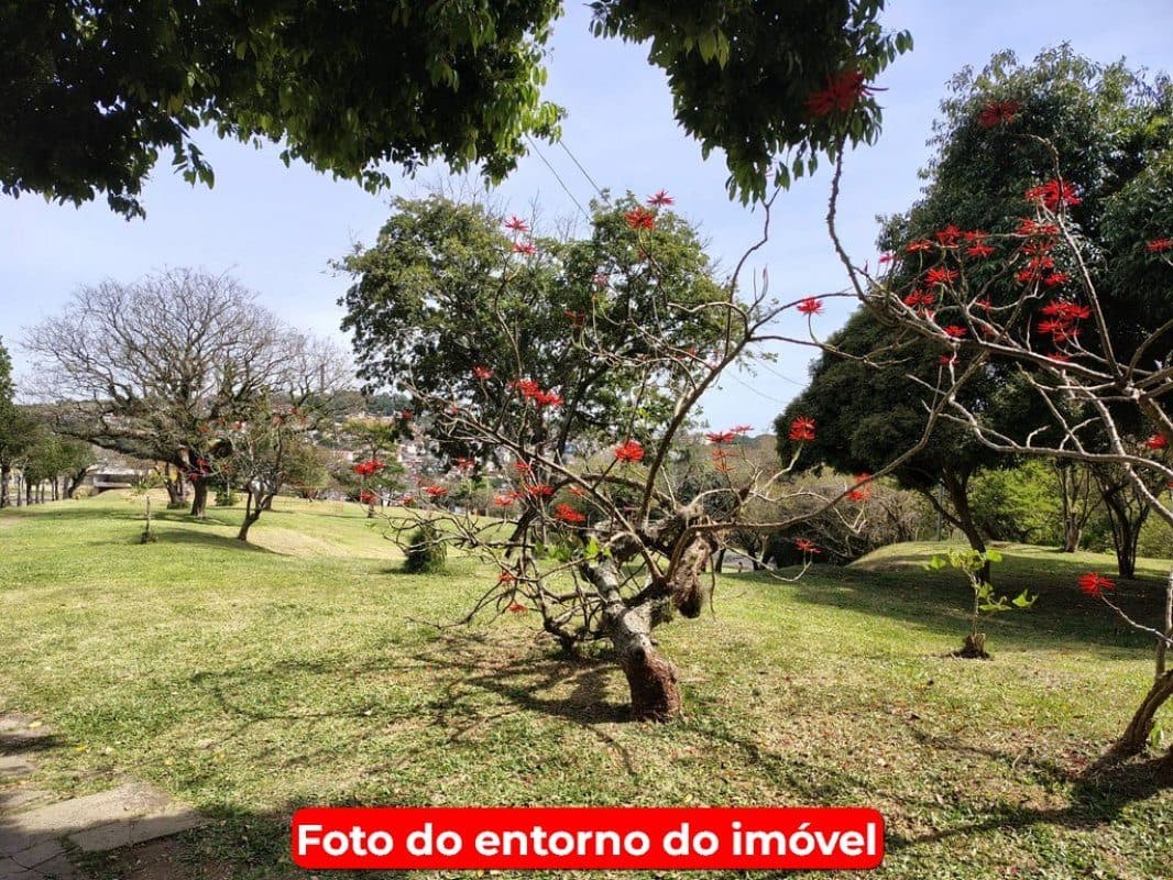 Foto 4 do imóvel