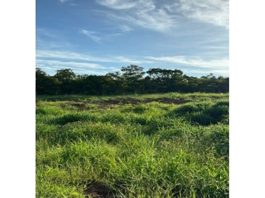 Foto 4 do imóvel