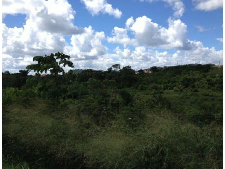 Foto 2 do imóvel