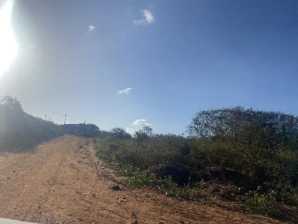 RUA DOS CANAVIAIS, N. 362, 13321, CEARA-MIRIM