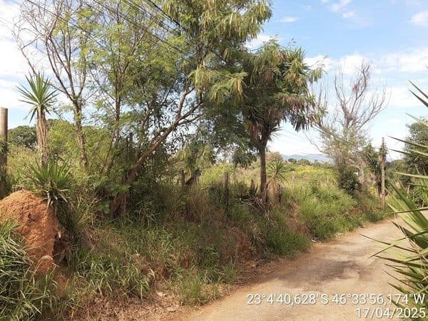 RUA MARGINAL, N. SN, AREA 03 DA CHACARA DO RIACHO, ATIBAIA