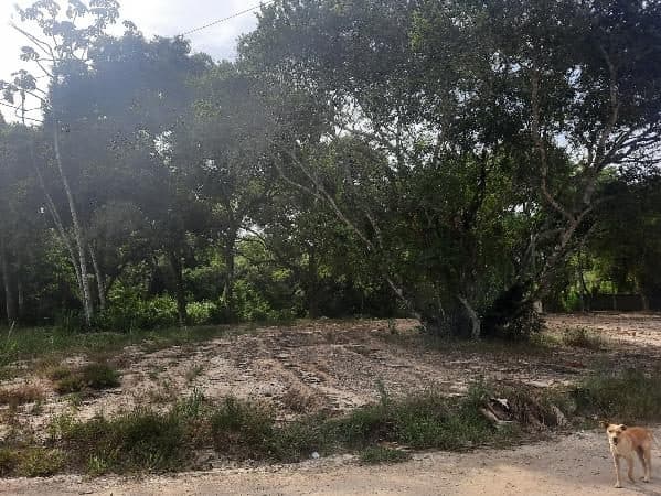 AVENIDA IGARAPIAPUNHA (RUA DOS VERDES), N. S/N, QD F LT 04, IGUABA GRANDE
