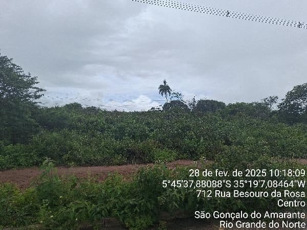 AVENIDA JOSE MELO DE SOUZA, N. SN, LT1904, SAO GONCALO DO AMARANTE
