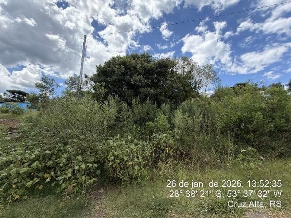 RUA DUQUE DE CAXIAS, N. 2461, 0, 2023, CRUZ ALTA