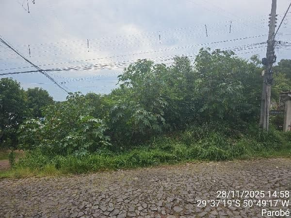 RUA ERNESTINA TASSO DA SILVA, N. SN, LOTE 1, QUADRA 04, PAROBE