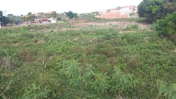 AVENIDA SANEAMENTO 1, N. SN, LT 38-C QD 20, NOSSA SENHORA DO SOCORRO