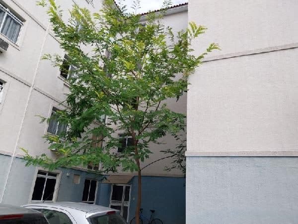 RUA JOSE BONIFACIO, N. 201, Apto 303, BL 05 AP 303, MESQUITA