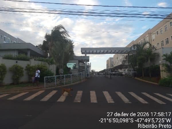 RUA JOSE DE ALCANTARA, N. 765, Apto 14, T 3 BL A, RIBEIRAO PRETO