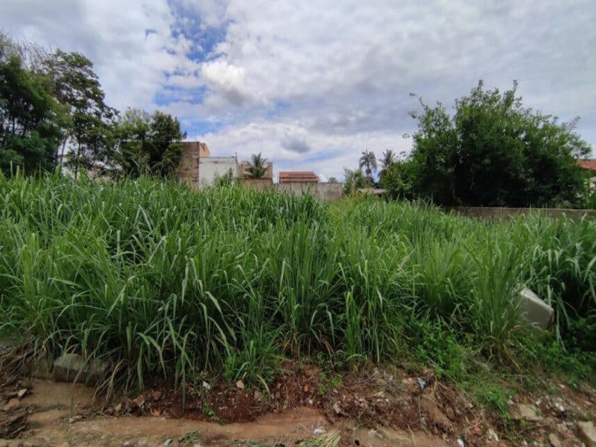 Rua Dourados, s/n - Quadra 135-A, Lote 5 e 6 - Setor dos Afonsos - Aparecida de Goiânia / GO, Aparecida de Goiânia
