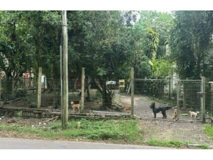Rua Rui Barbosa, 1473 - Alegria - Guaíba / RS, Guaíba